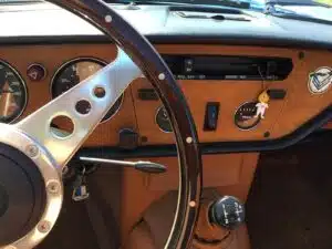 SPIT29