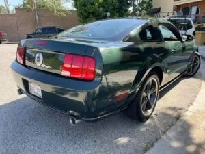 BULLIT6