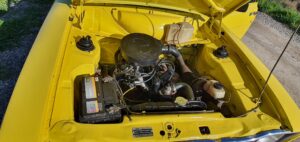 ESCORT23