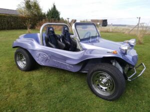 BUGGY6