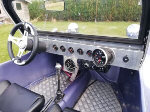 BUGGY9