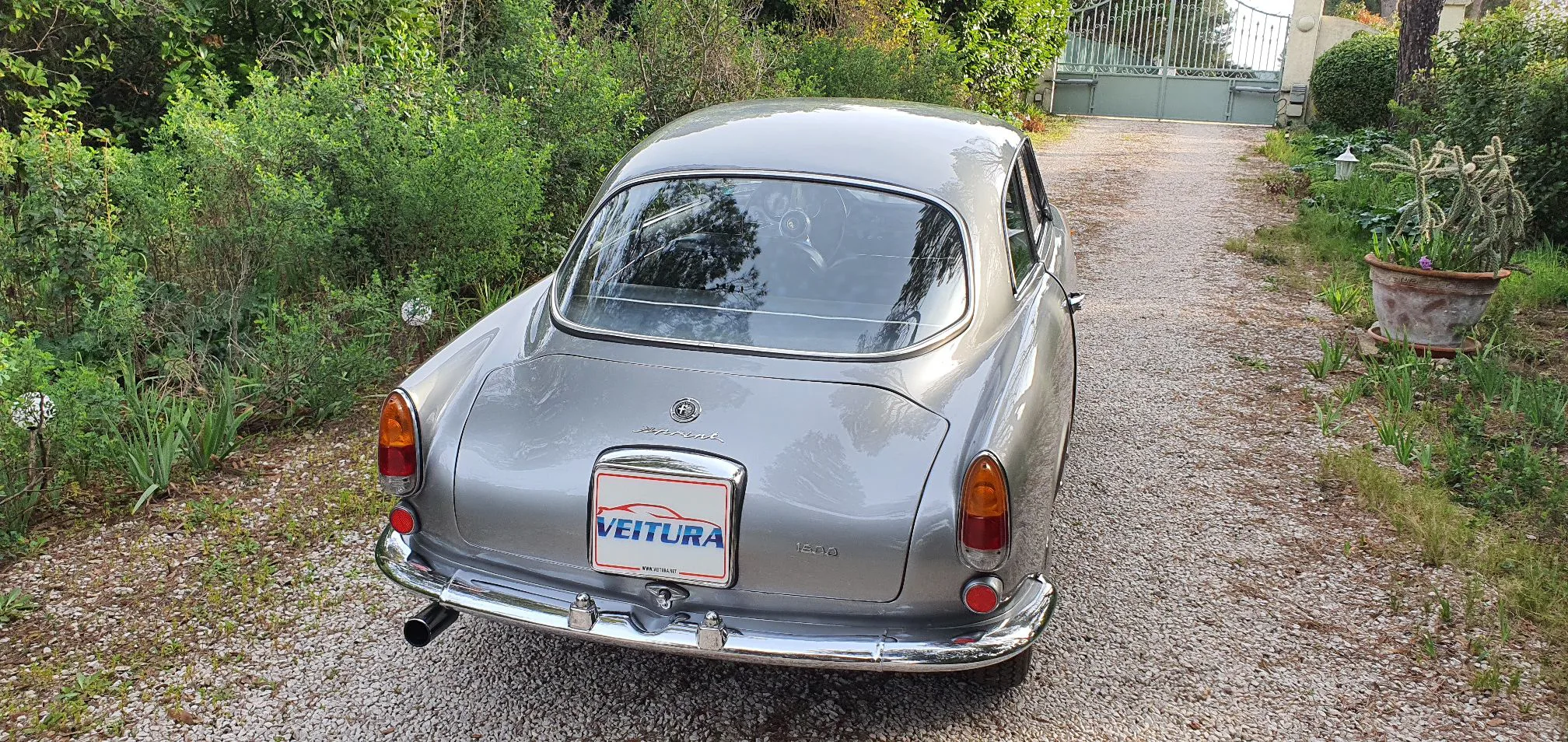ALFA-GRISE-5-1