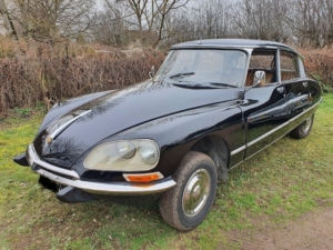 DS236