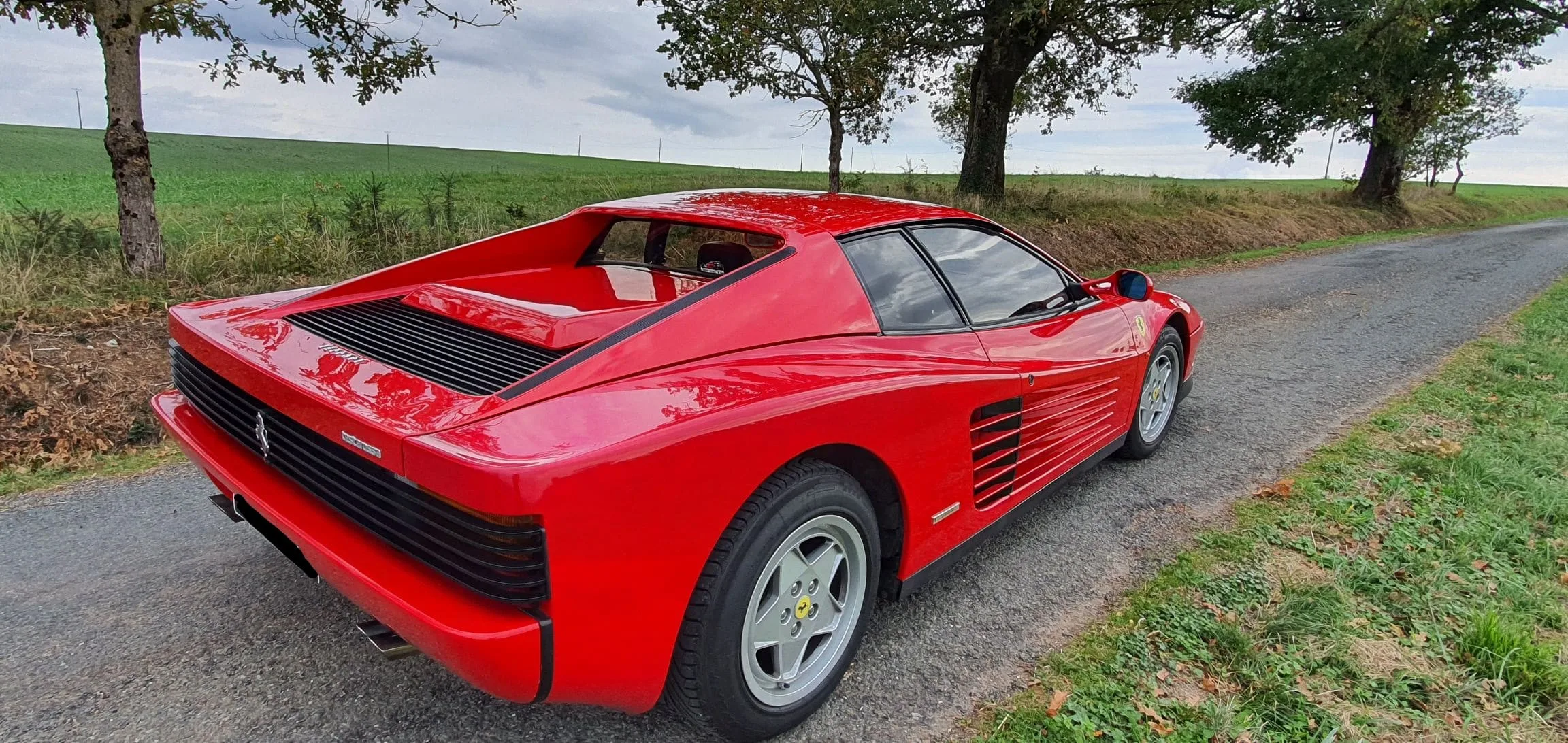 TESTAROSSA11-1