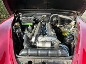 IMG-20240408-WA0017
