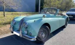 Nos voitures de collection à vendre