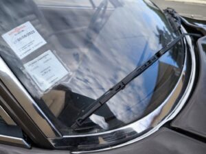 IMG_20241022_152721