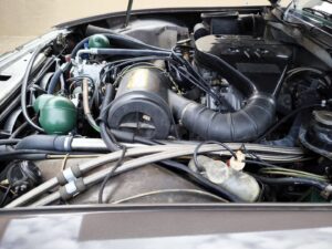 IMG_20241022_152923