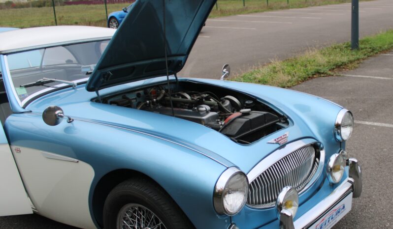 1961 Austin Healey 3000 mkII HBT7 complet