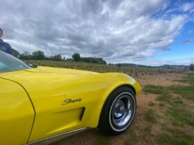 1975 Chevrolet Corvette