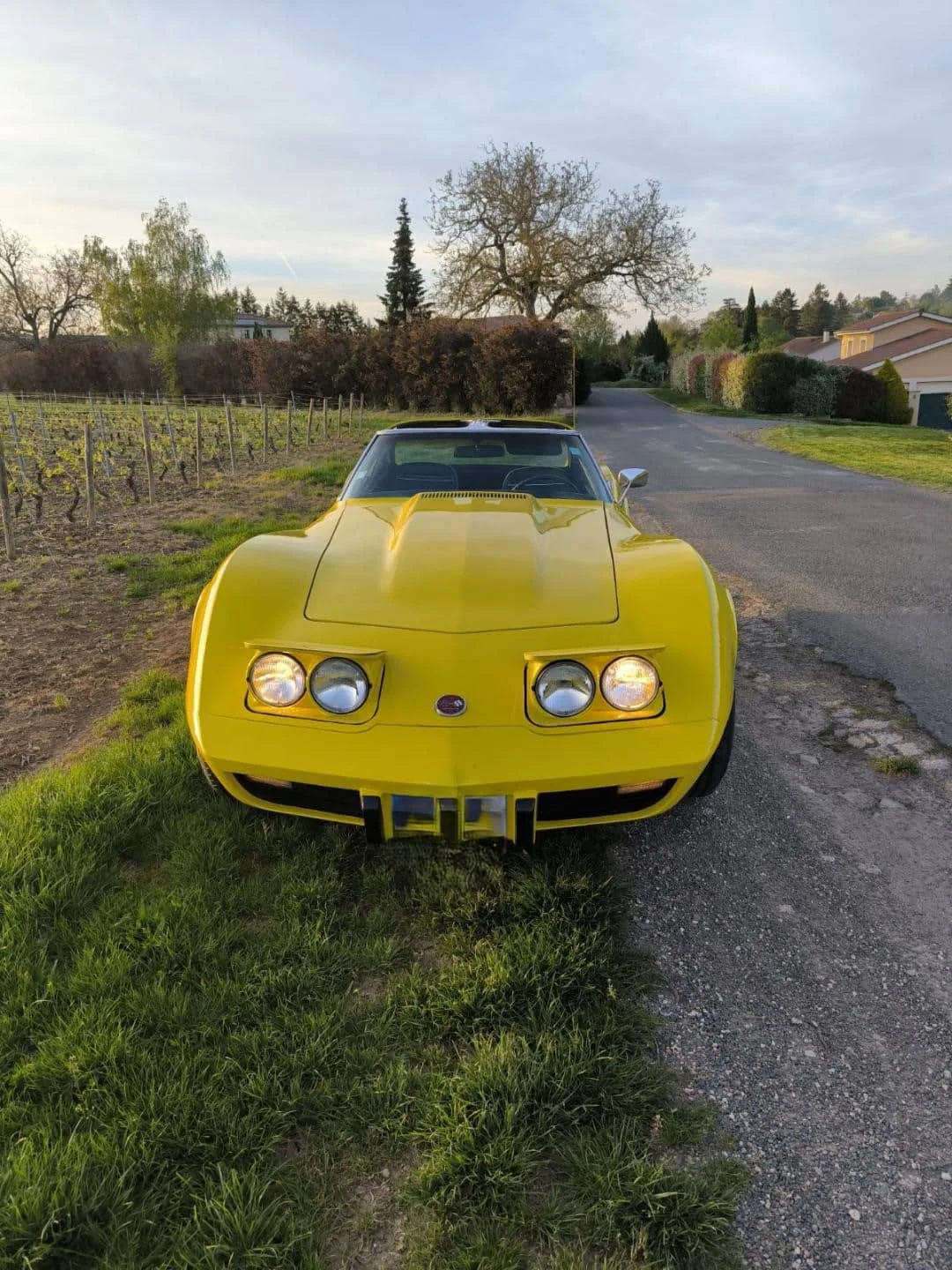 Corvette-Face-Copie