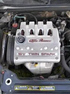 GTV-24-1