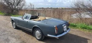 WhatsApp-Image-2025-03-10-at-17.05.41-6