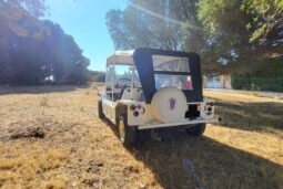 1967 AUSTIN Mini Moke full