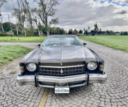 1973 Chevrolet Monte carlo