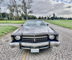 1973 Chevrolet Monte carlo