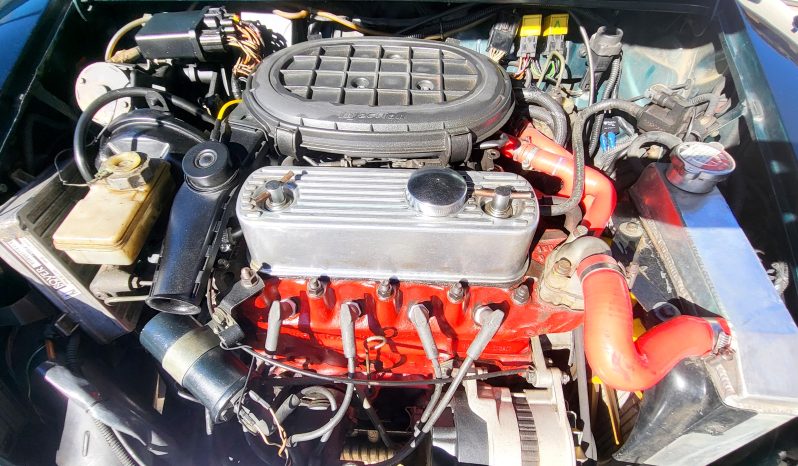 1995 ROVER MINI BRITISH OPEN complet