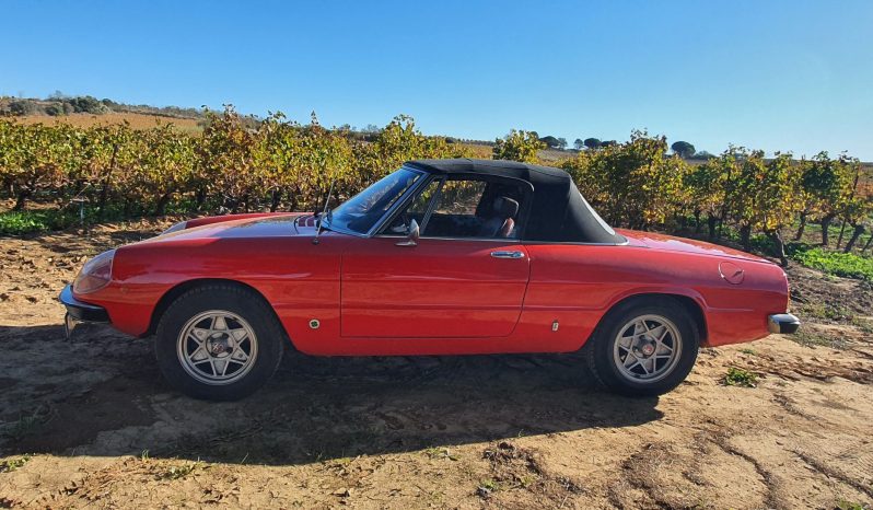 1976 Alfa Romeo Spider 2000 Coda Tronca complet