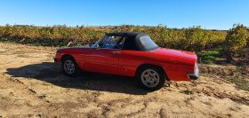 1976 Alfa Romeo Spider 2000 Coda Tronca