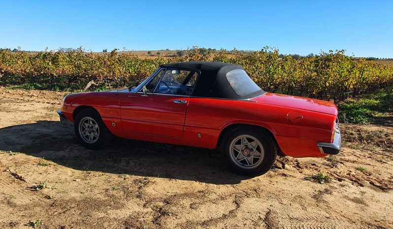 1976 Alfa Romeo Spider 2000 Coda Tronca complet