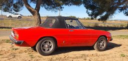 1976 Alfa Romeo Spider 2000 Coda Tronca