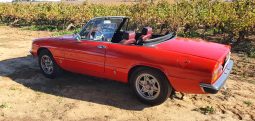 1976 Alfa Romeo Spider 2000 Coda Tronca complet