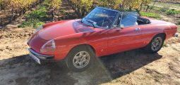 1976 Alfa Romeo Spider 2000 Coda Tronca