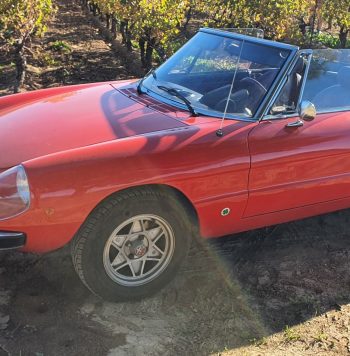 1976 Alfa Romeo Spider 2000 Coda Tronca