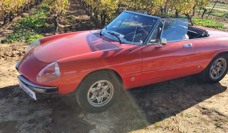 1976 Alfa Romeo Spider 2000 Coda Tronca