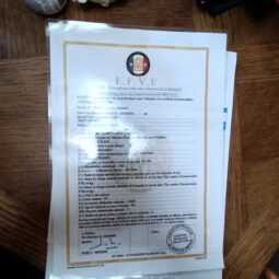 1960 Triumph TR3A complet