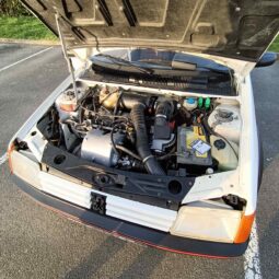 1987 Peugeot 205 gti full