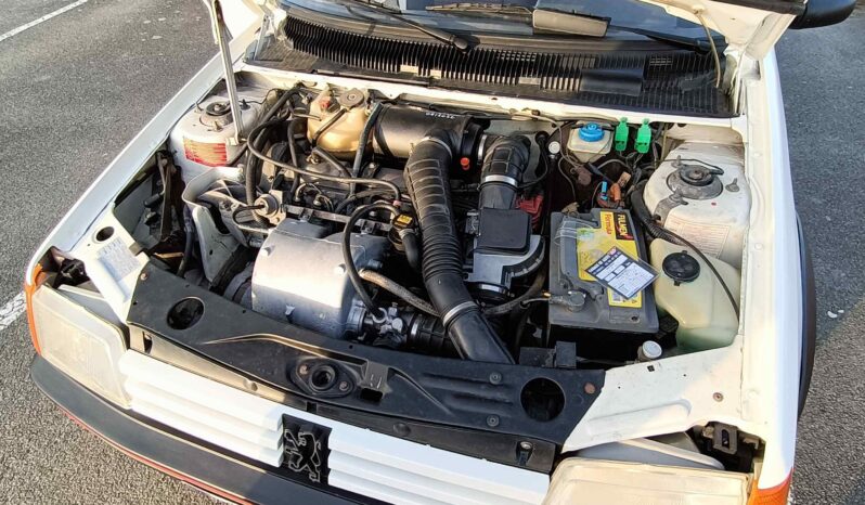 1987 Peugeot 205 gti full