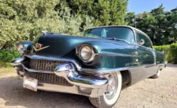 Nos voitures de collection à vendre