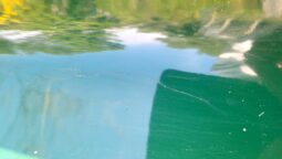 1938 Citroen Traction cabriolet full