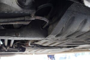 IIMG_9686-2