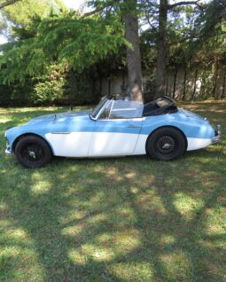 1963 Austin Healey 3000 mk II BJ 7