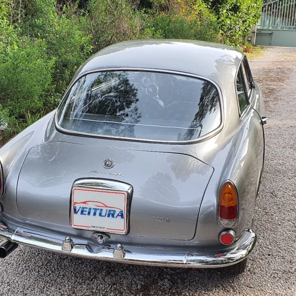 ALFA-GRISE-5-1