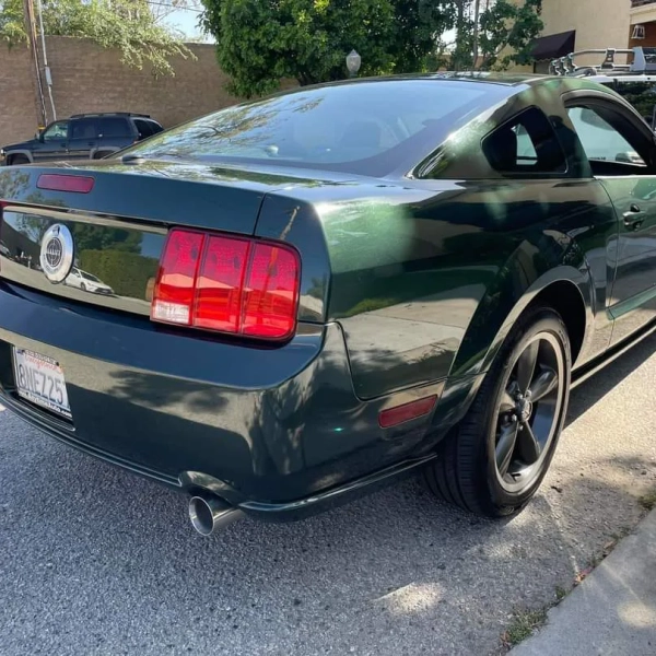 BULLIT6