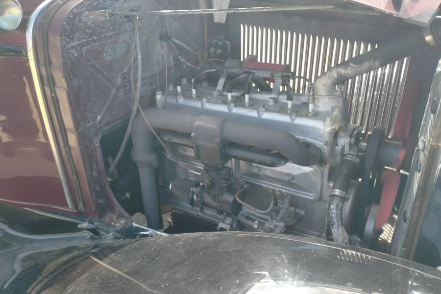 IMG-20250327-WA0021
