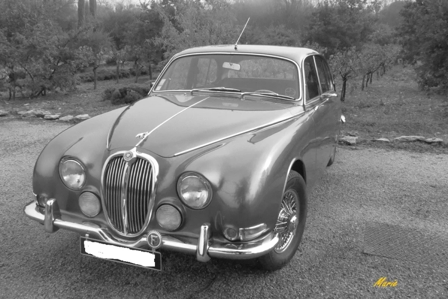 jag-s