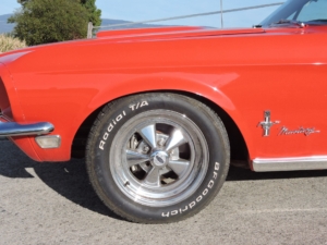 dscn0168_web