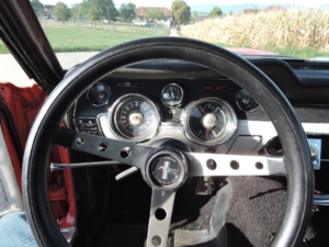 dscn0181_web