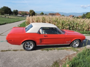 dscn0196_web