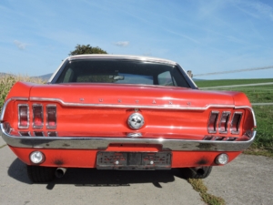 dscn0200_web