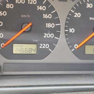 1000018704