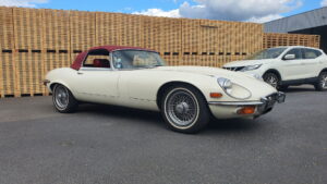 type-blanche-v12-1